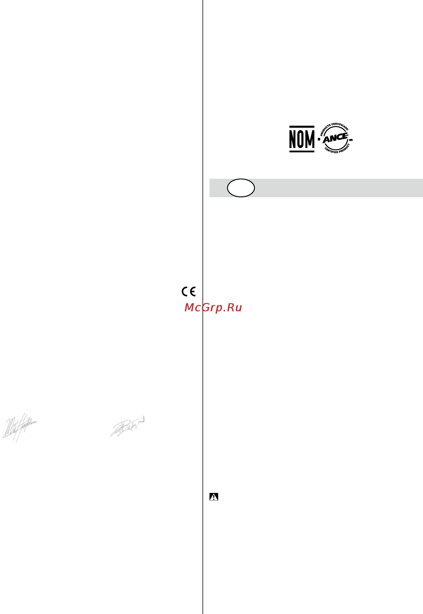 Skil 4950 NA [36/116] Ambiente