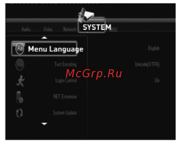 Rolsen FHD-M03 Инструкция по эксплуатации онлайн [19/36] 92860
