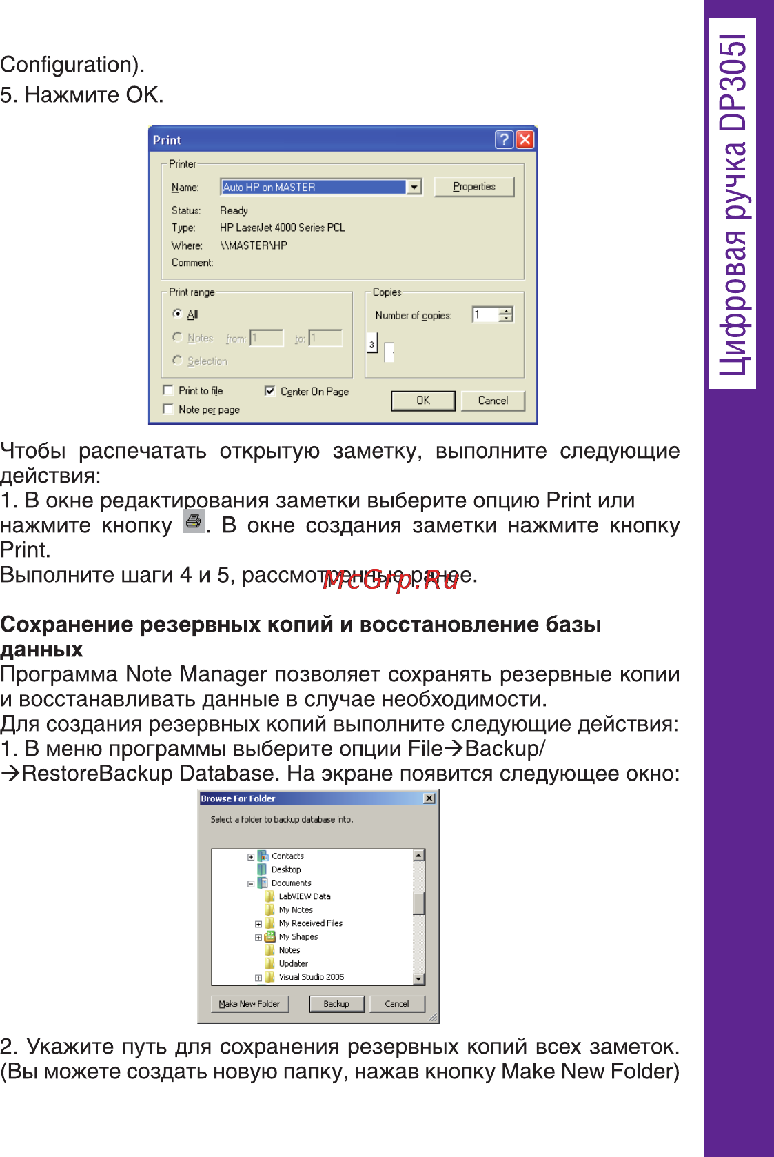 Ritmix DP-305I Инструкция по эксплуатации онлайн [31/66] 92900