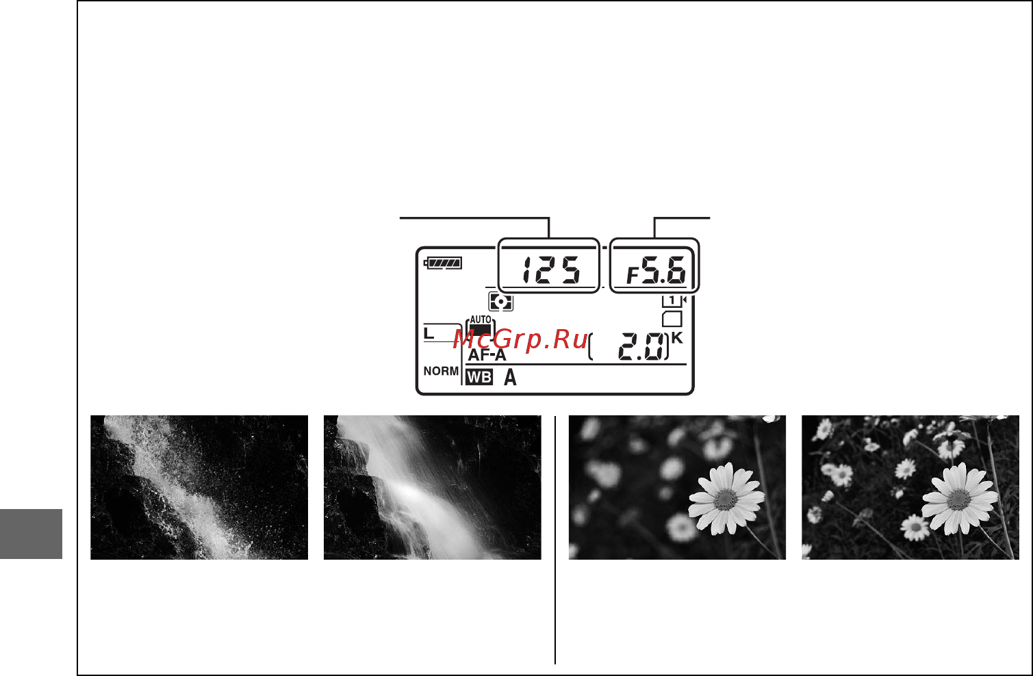 Nikon D610 + 24-85mm Kit Инструкция по эксплуатации онлайн [100/372] 92936