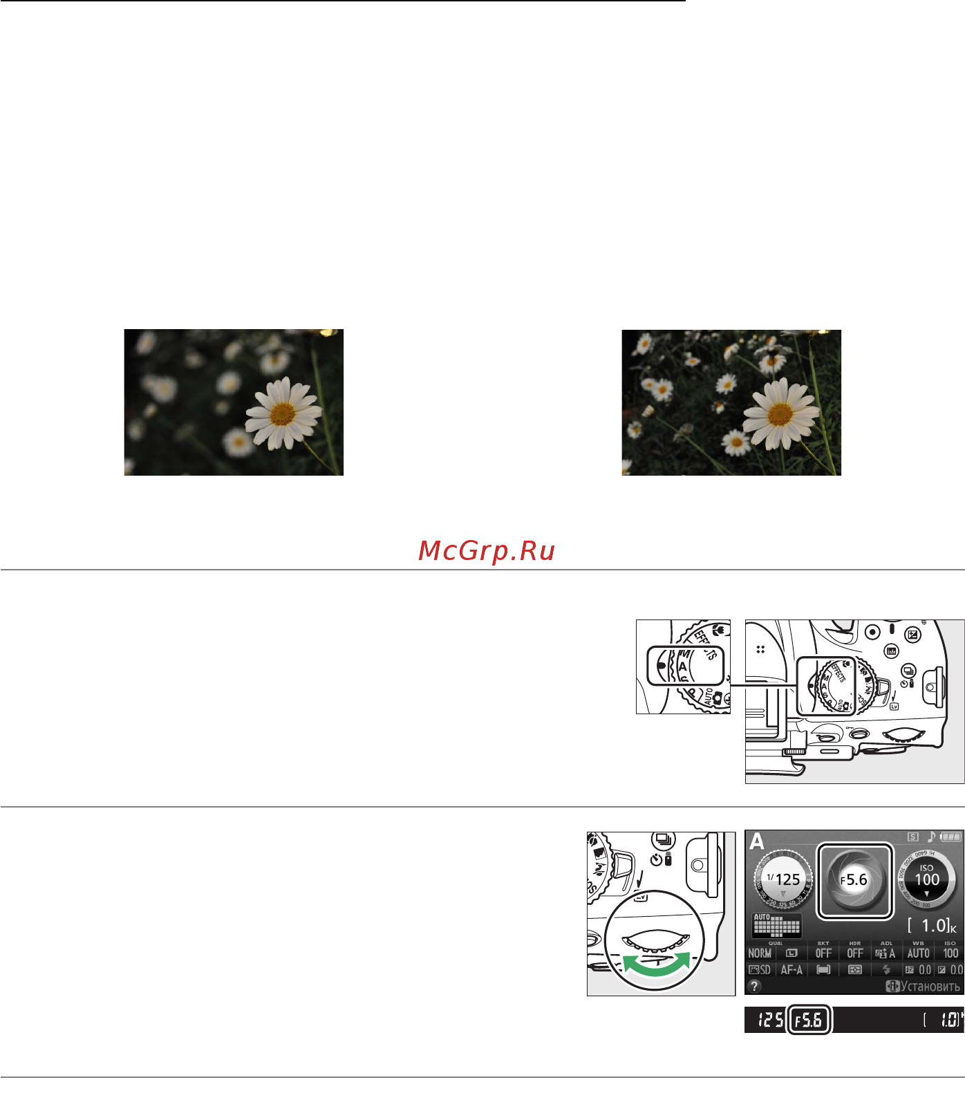 Nikon D5200 Kit 18-140 VR [75/264] Режим a авт с приор диафрагмы