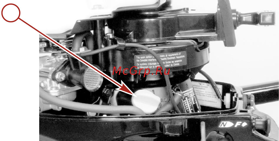 Mercury Marine ME F 3.5 ML [31/57] Топливо и масло