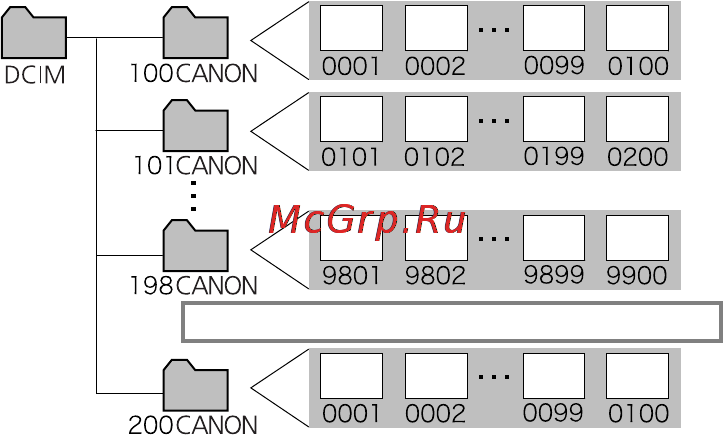 Canon IXUS 50 [114/196] About file numbers and folder numbers
