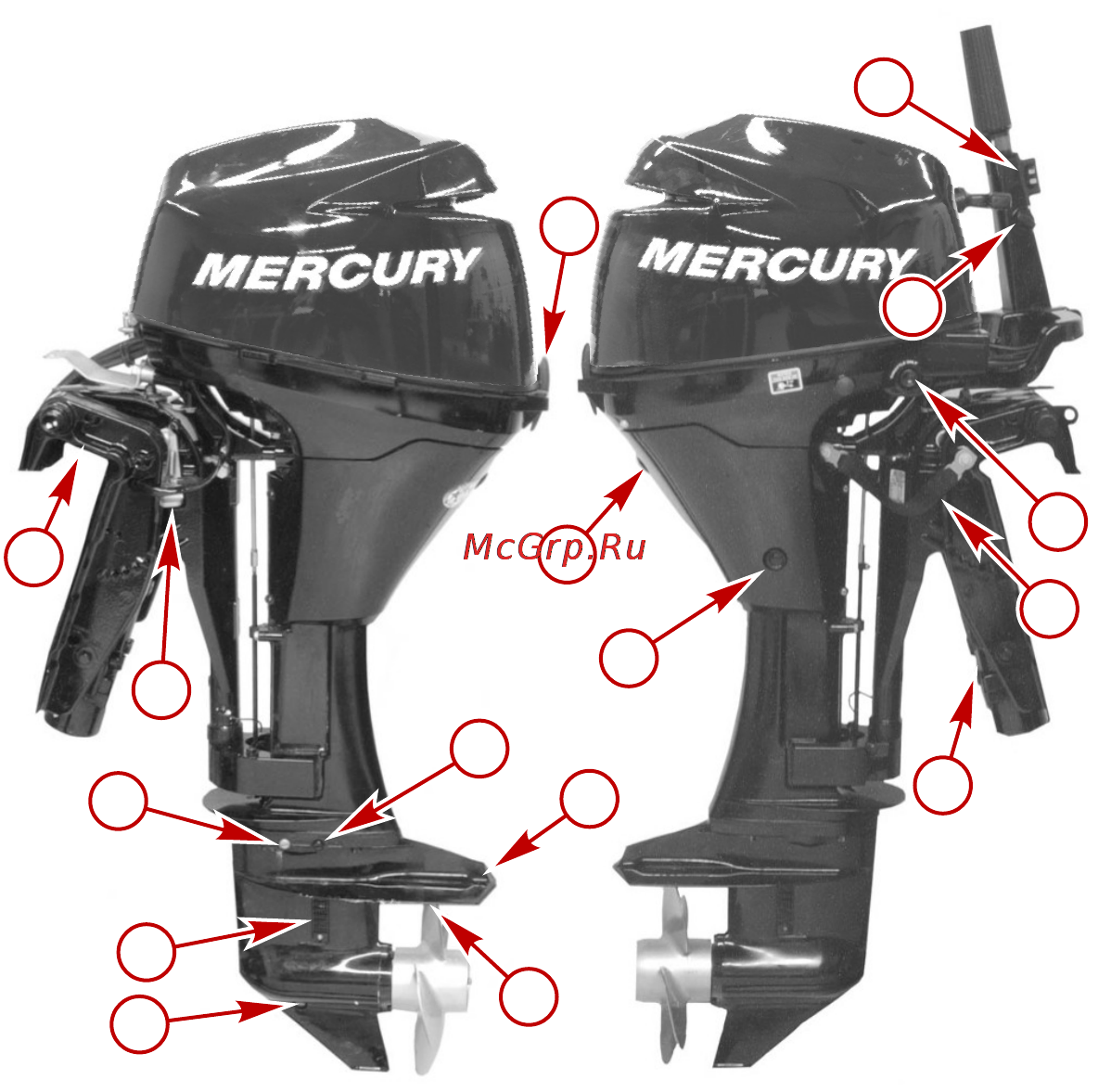 Mercury Marine ME F 9.9 M [38/110] Общие сведения