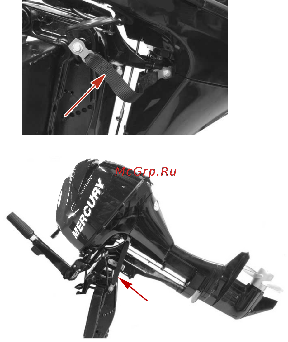 Mercury Marine ME F 9.9 M [56/110] Характеристики и органы управления