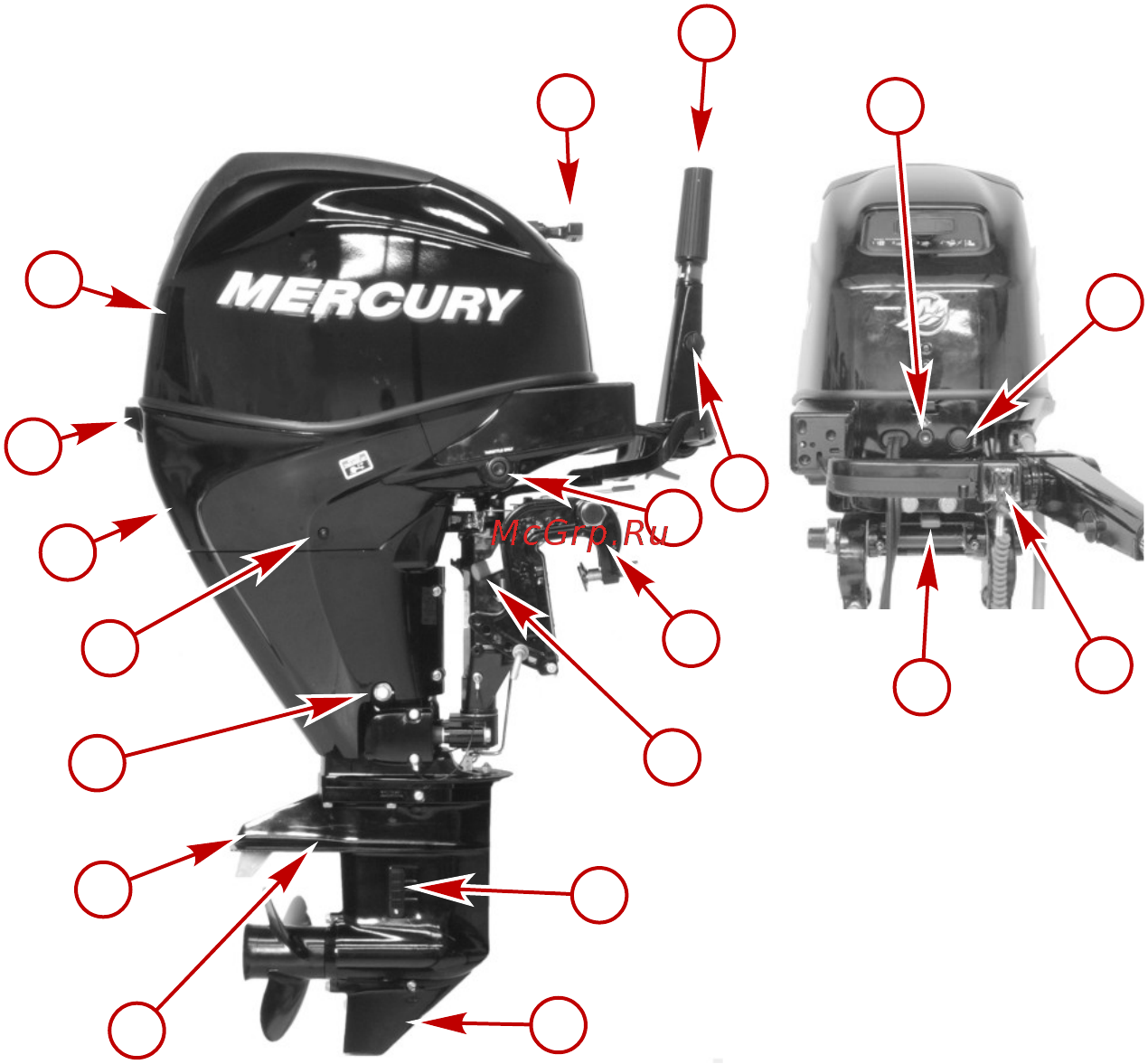 Mercury Marine ME F 25 M EFI [39/124] Идентификация компонентов