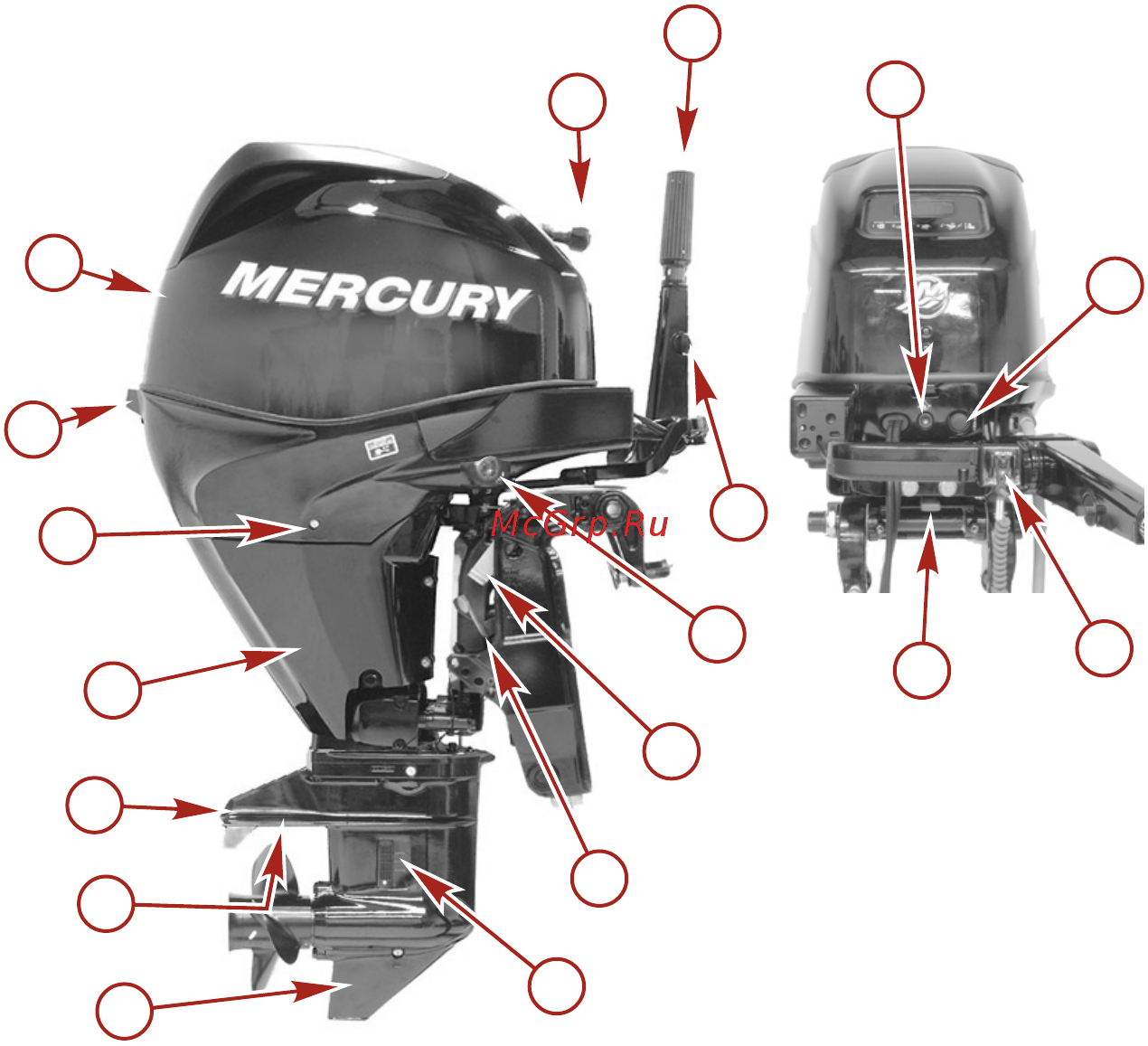 Mercury Marine ME F 25 ML EFI [41/124] Общая информация