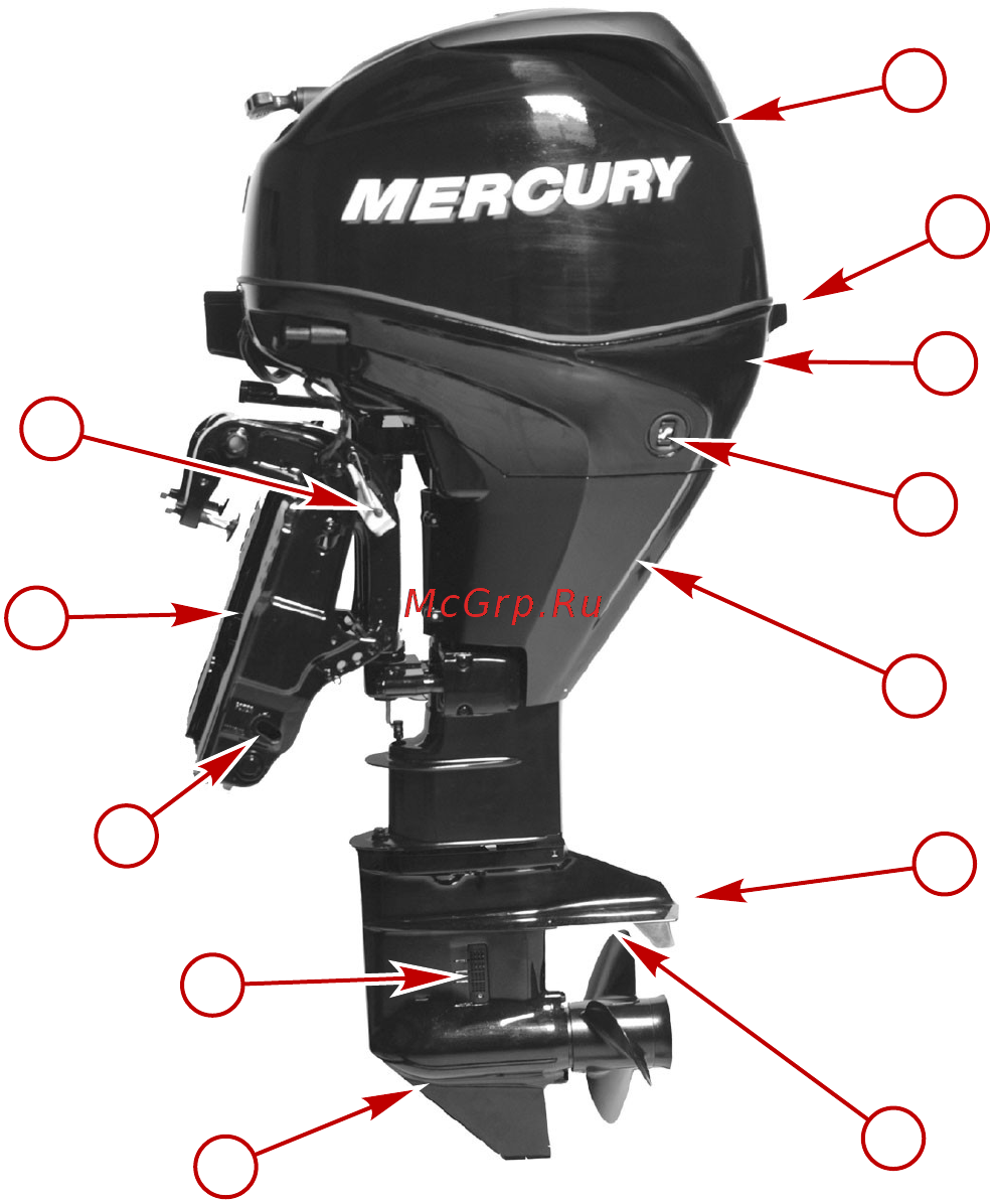 Mercury Marine ME F 25 ML EFI [42/124] Общая информация