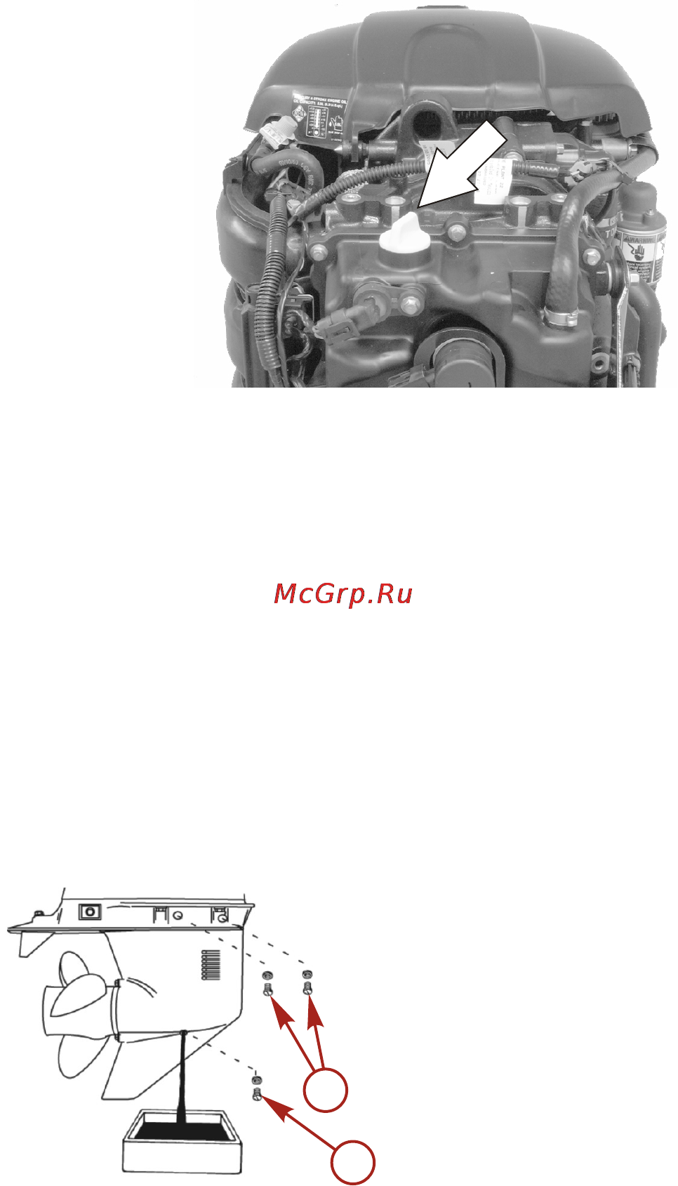 Mercury Marine ME F 100 ELPT EFI [79/109] Дренаж коробки передачи