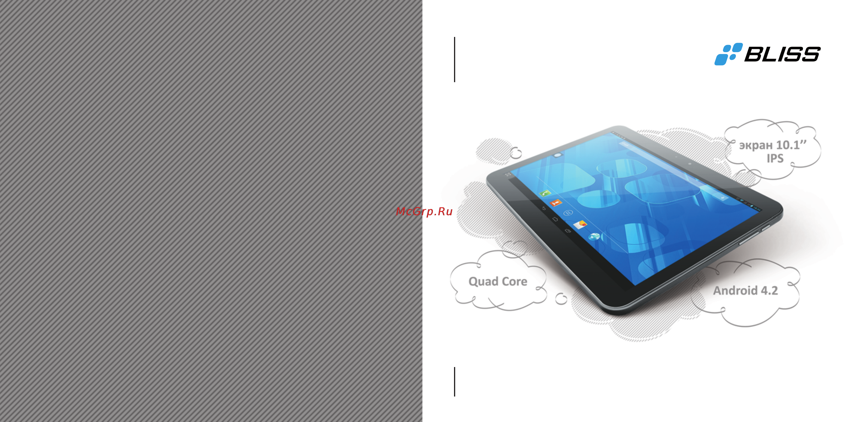 Bliss Pad M1002 Инструкция по эксплуатации онлайн