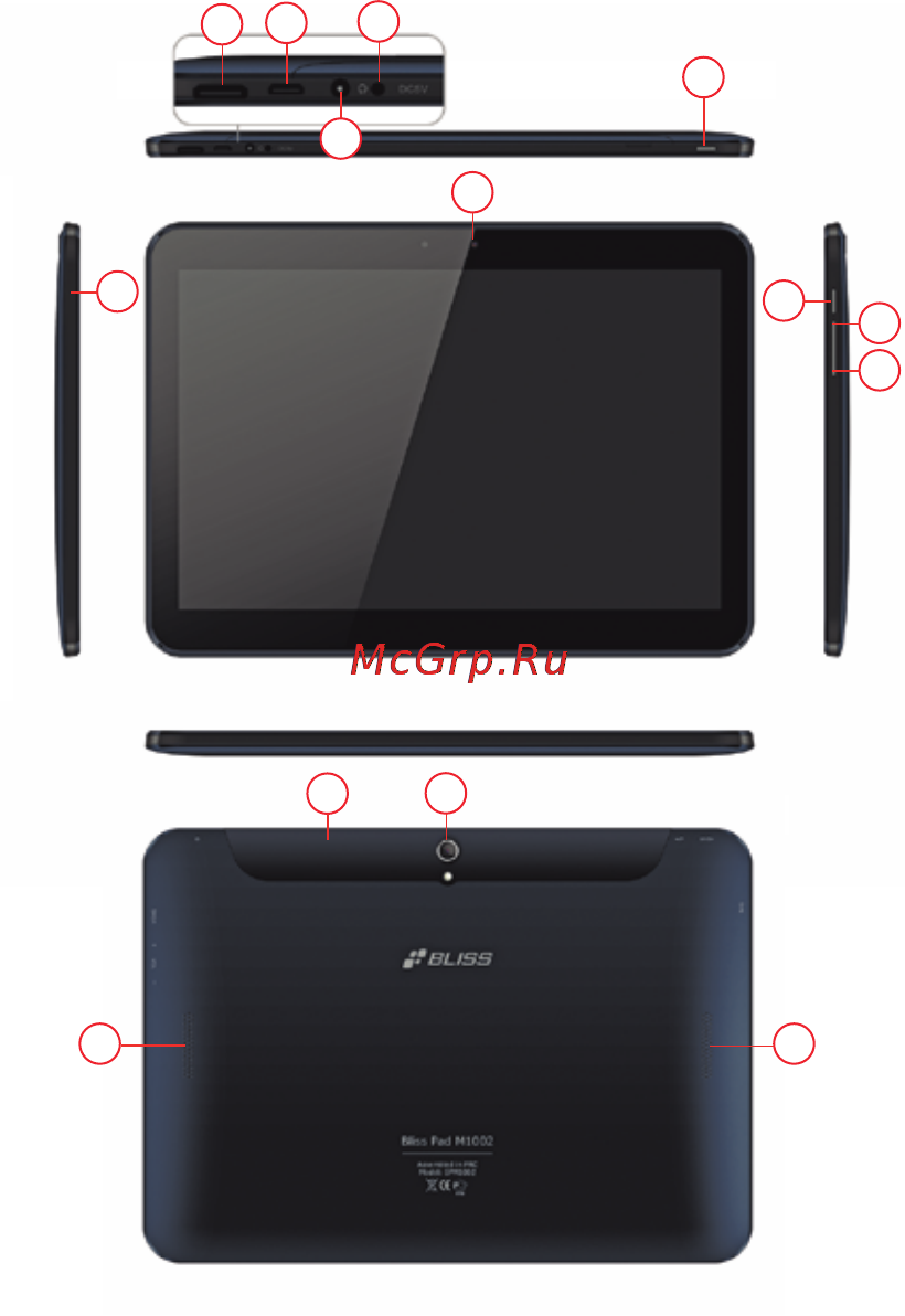 Bliss Pad M1002 [5/21] Внешний вид планшета