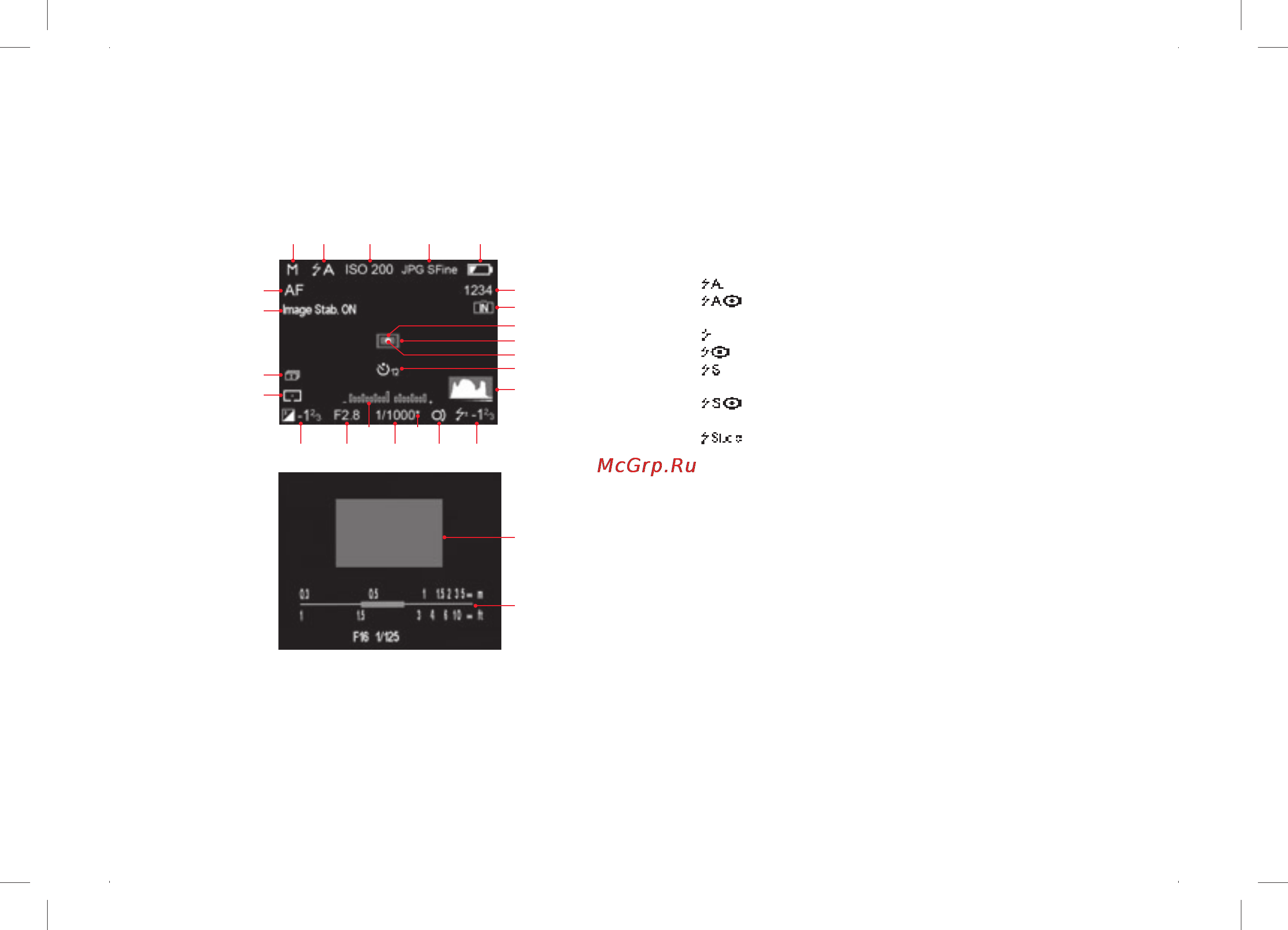 Leica X2 Titan/Aztec Biege [11/84] Индикаторы