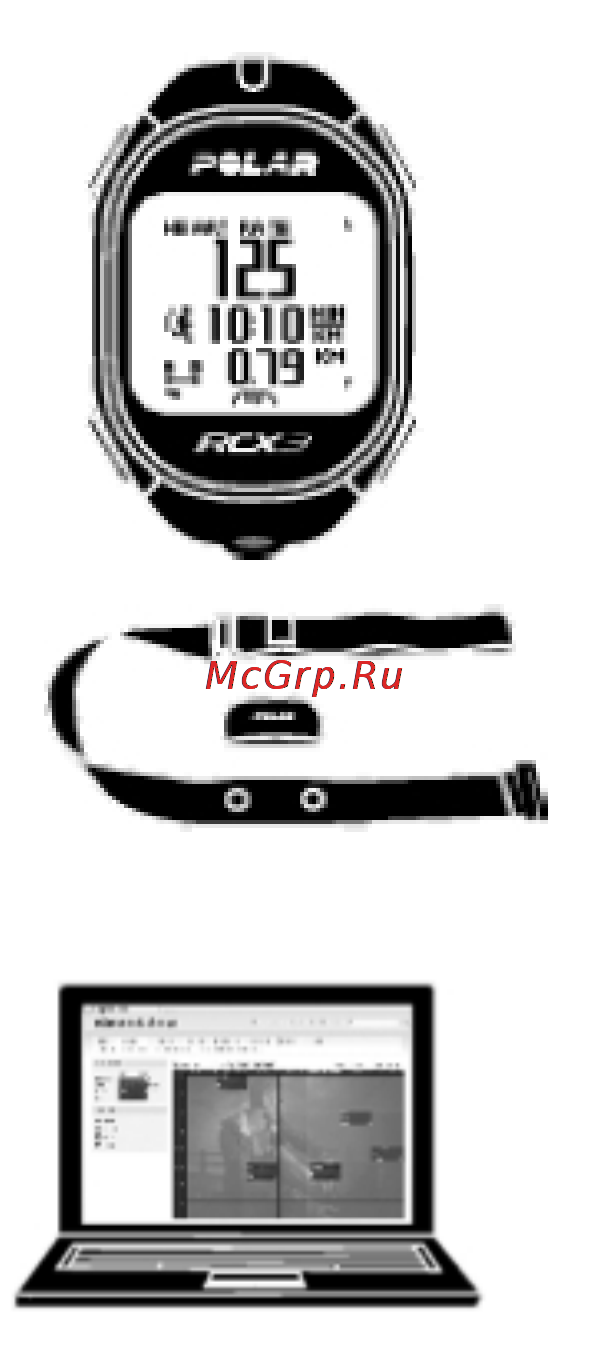 Polar RCX3 GPS Black Инструкция по эксплуатации онлайн [4/27] 121988