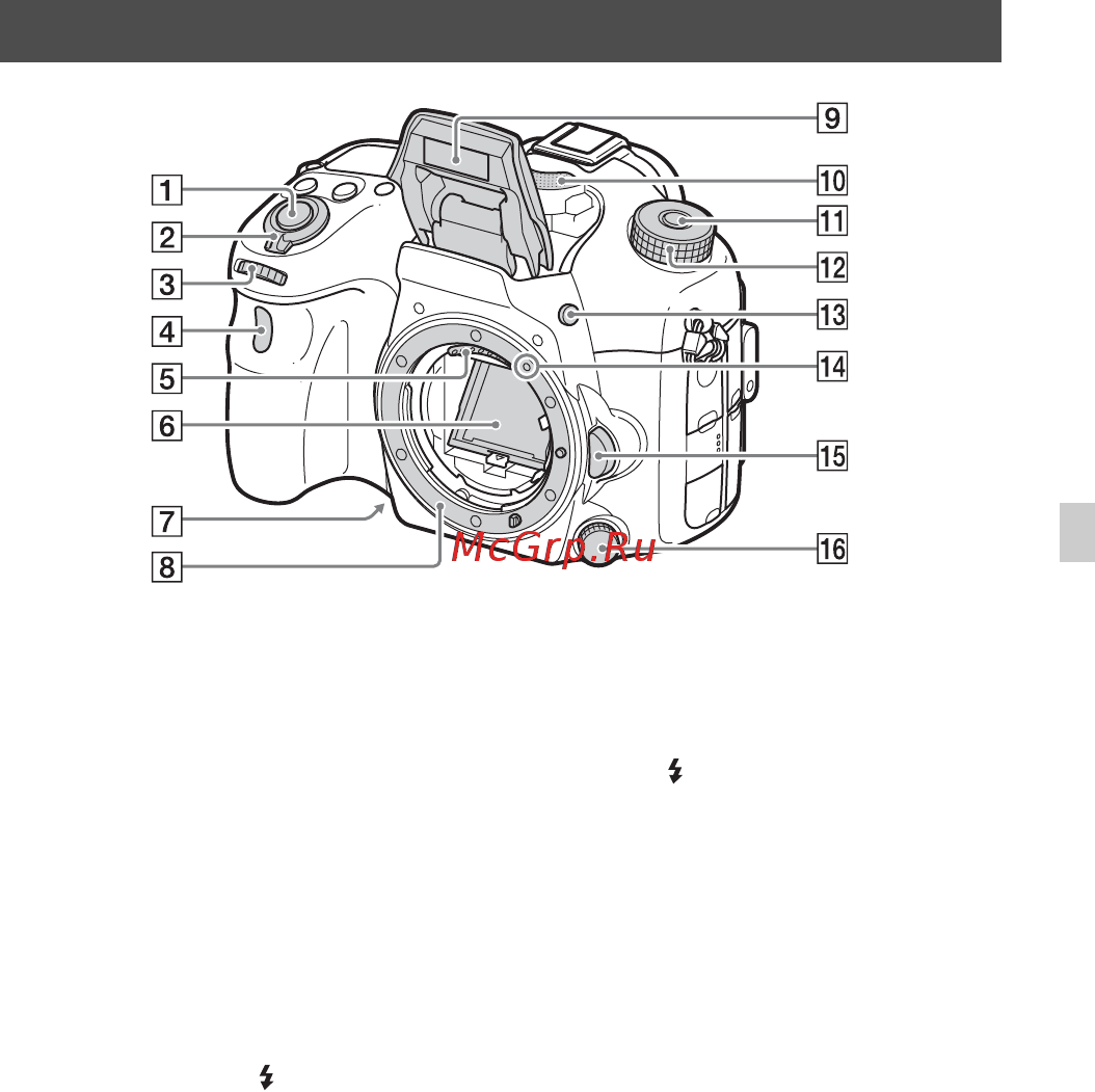 Sony Alpha SLT-A77 II Kit 18-135 Black [177/675] Identificación de las partes