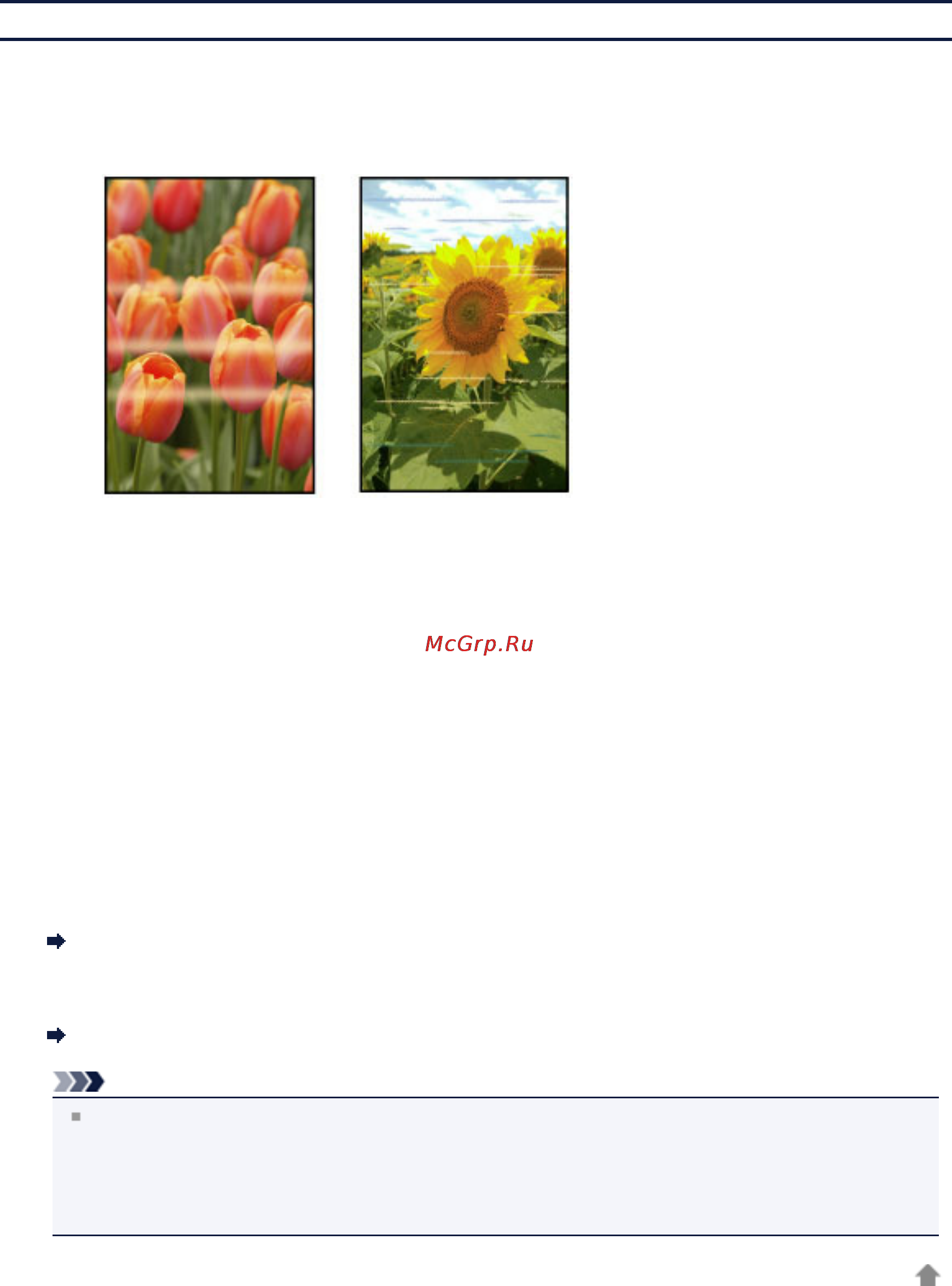 Canon PIXMA MG5540 White [89/135] Цвета передаются неравномерно