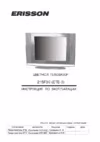 Erisson 21SF30 Инструкция по эксплуатации