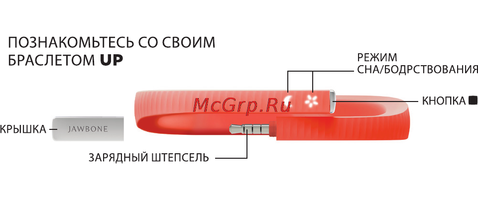 Jawbone Up 24 L Lemon Lime (JL01-17L-EM1) Инструкция по эксплуатации онлайн [5/10] 103686