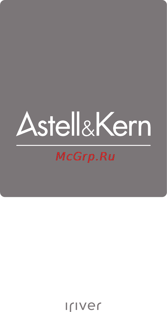 Astell&Kern AK240 256GB Gunmetal Инструкция по эксплуатации онлайн
