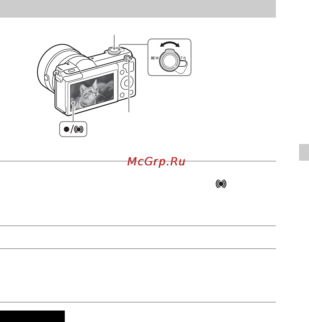 Sony Alpha A5100 Kit 16-50 Black [21/491] Press the movie movie button to start recording