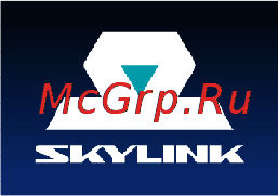 Skylink FRIEND Инструкция по эксплуатации онлайн [15/34] 105751