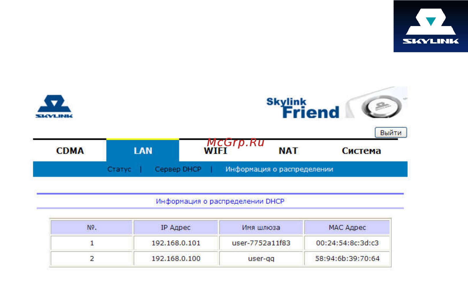 Skylink FRIEND Инструкция по эксплуатации онлайн [19/34] 105751