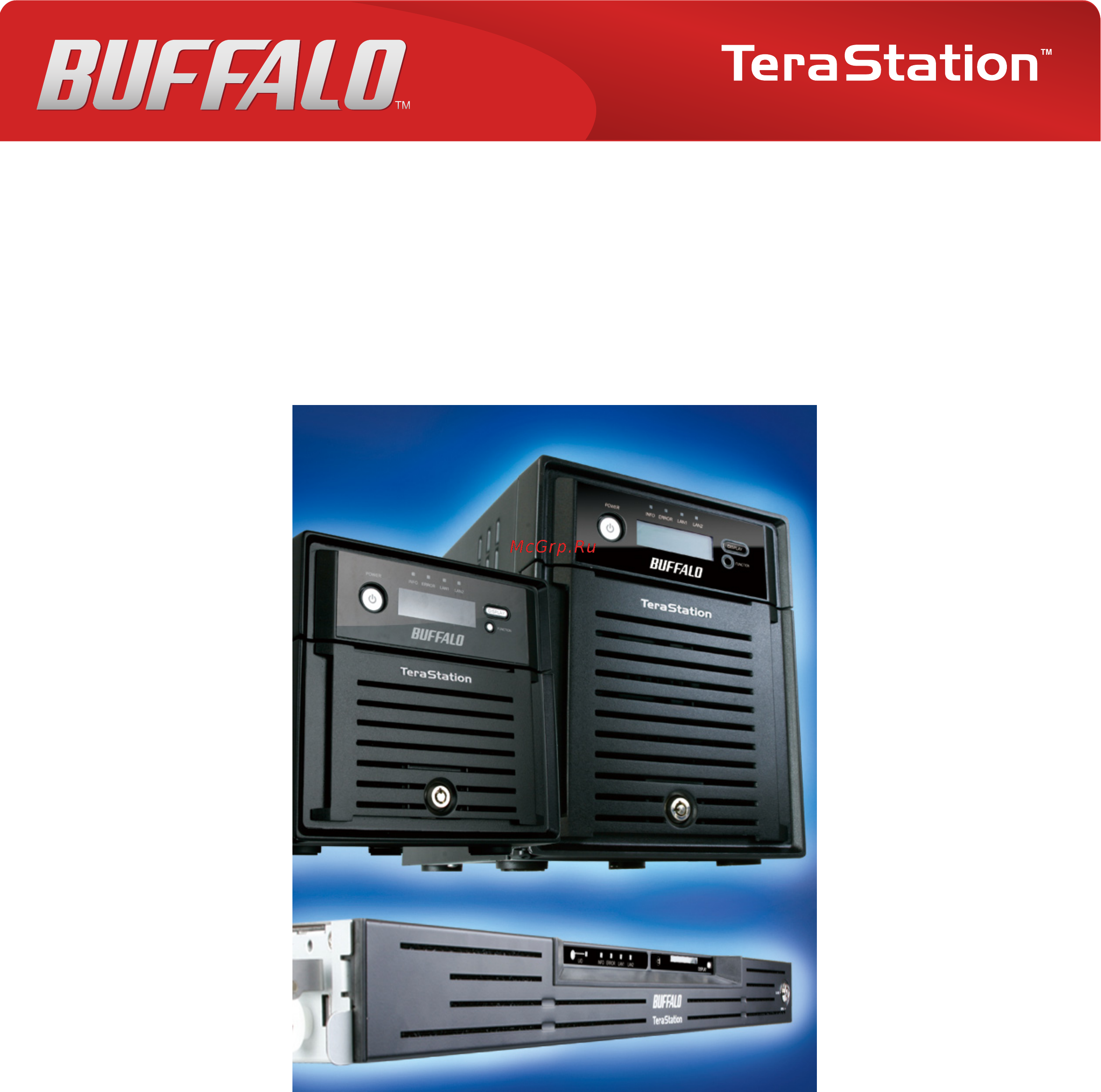 Buffalo TS-WX4.0TL/R1 Инструкция по эксплуатации онлайн