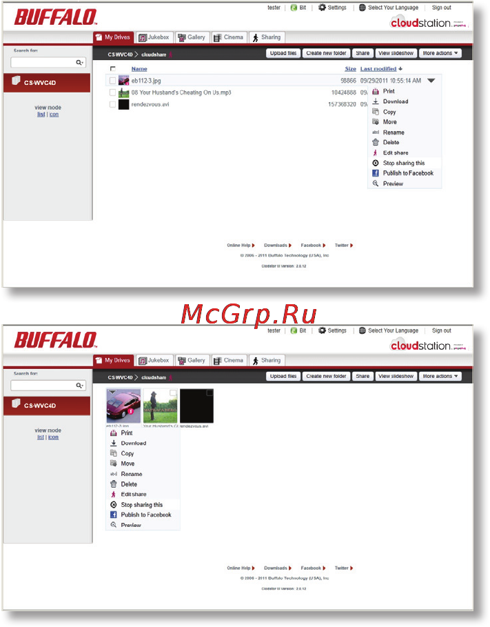Buffalo CS-WV4.0/R1 Инструкция по эксплуатации онлайн [18/51] 106570