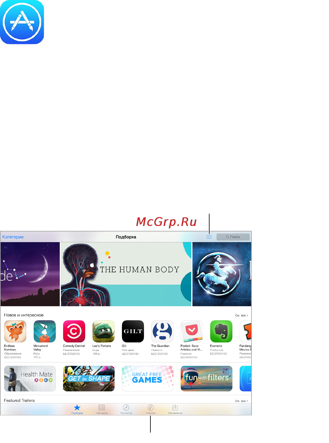 Apple iPad mini 3 16GB Wi-Fi+Cellular Gold (MGYR2) [130/191] Начальные сведения о программе app store