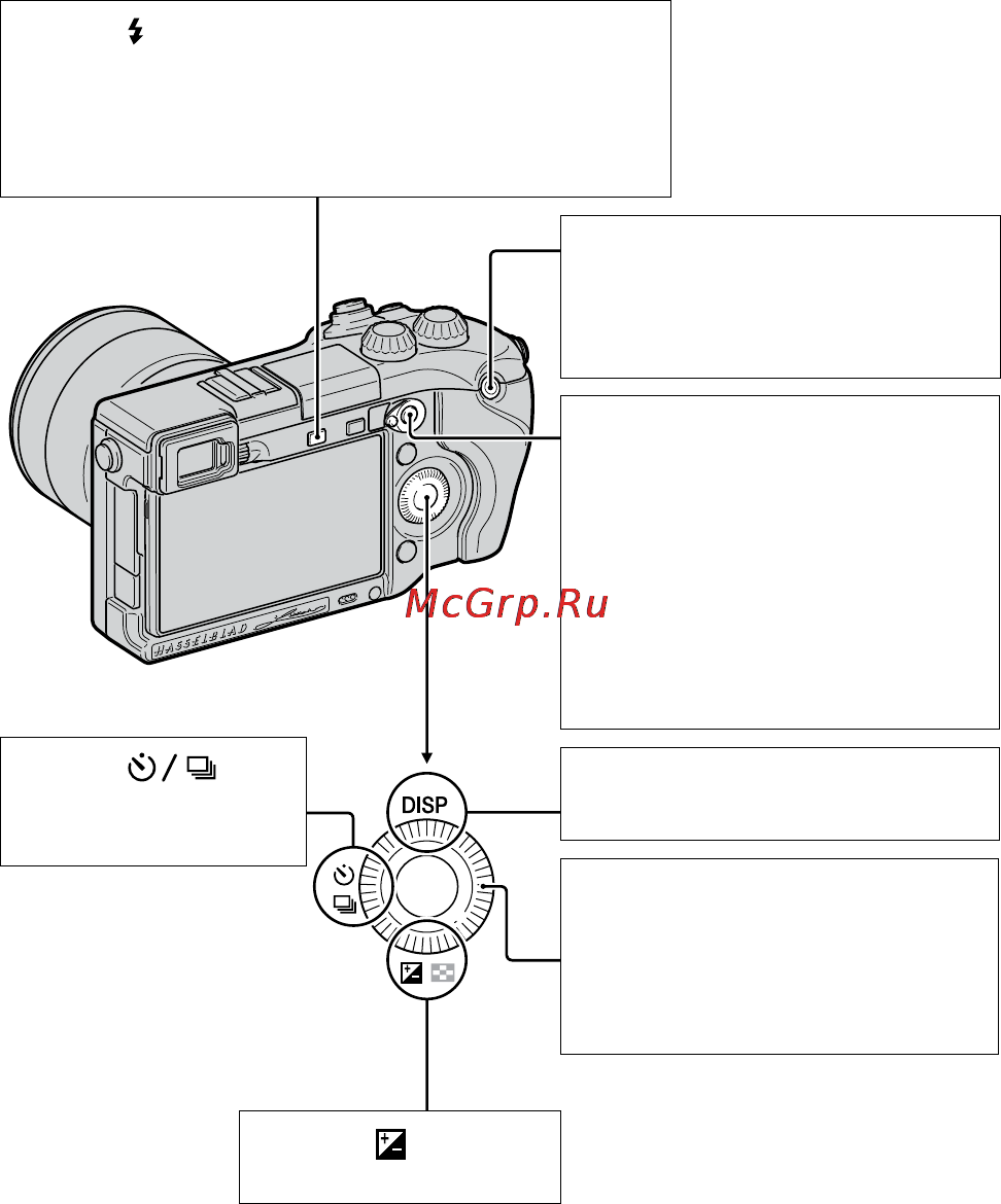 Hasselblad Lunar Kit Карбон [4/48] Кнопка открытие вспышки