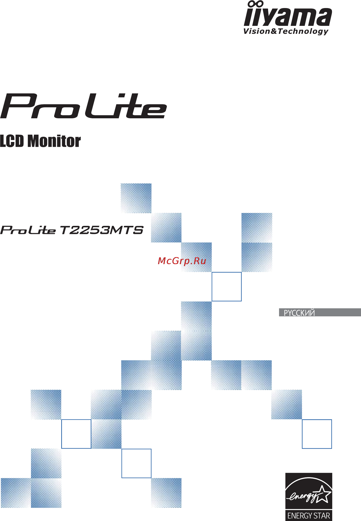 Iiyama ProLite T2253MTS-GB1 Инструкция по эксплуатации онлайн