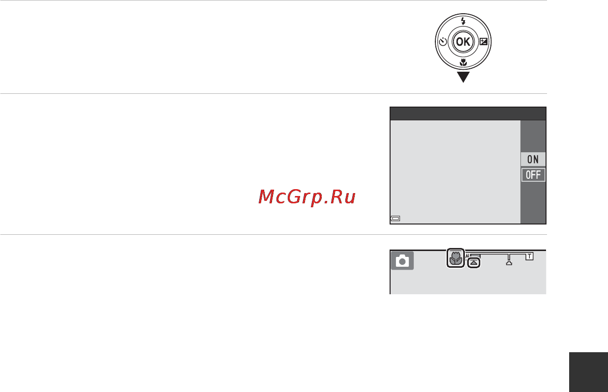 Nikon Coolpix L31 Red [65/147] Использование режима макросъемки