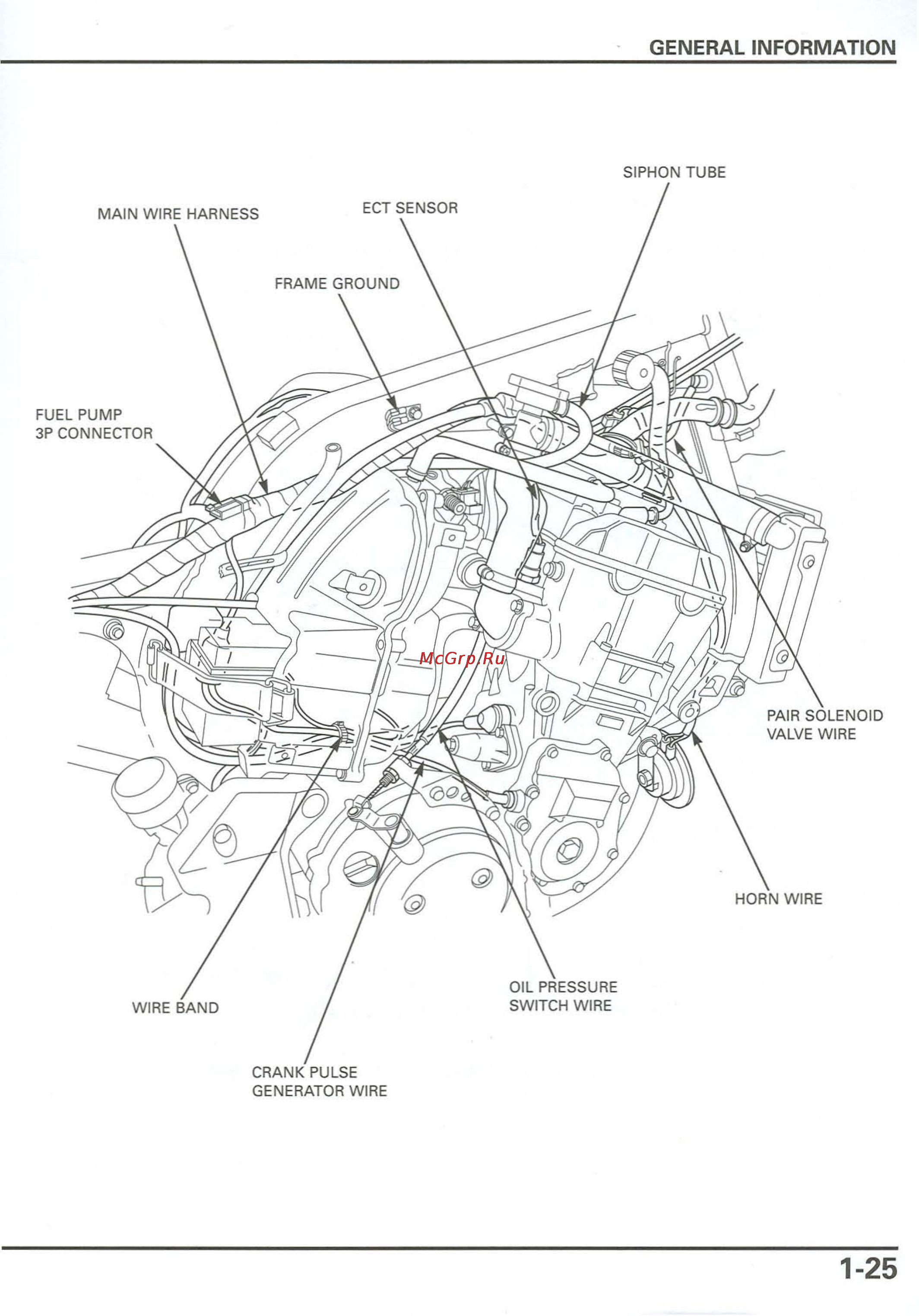 Honda CB900F 919 (2001) [29/432] General information