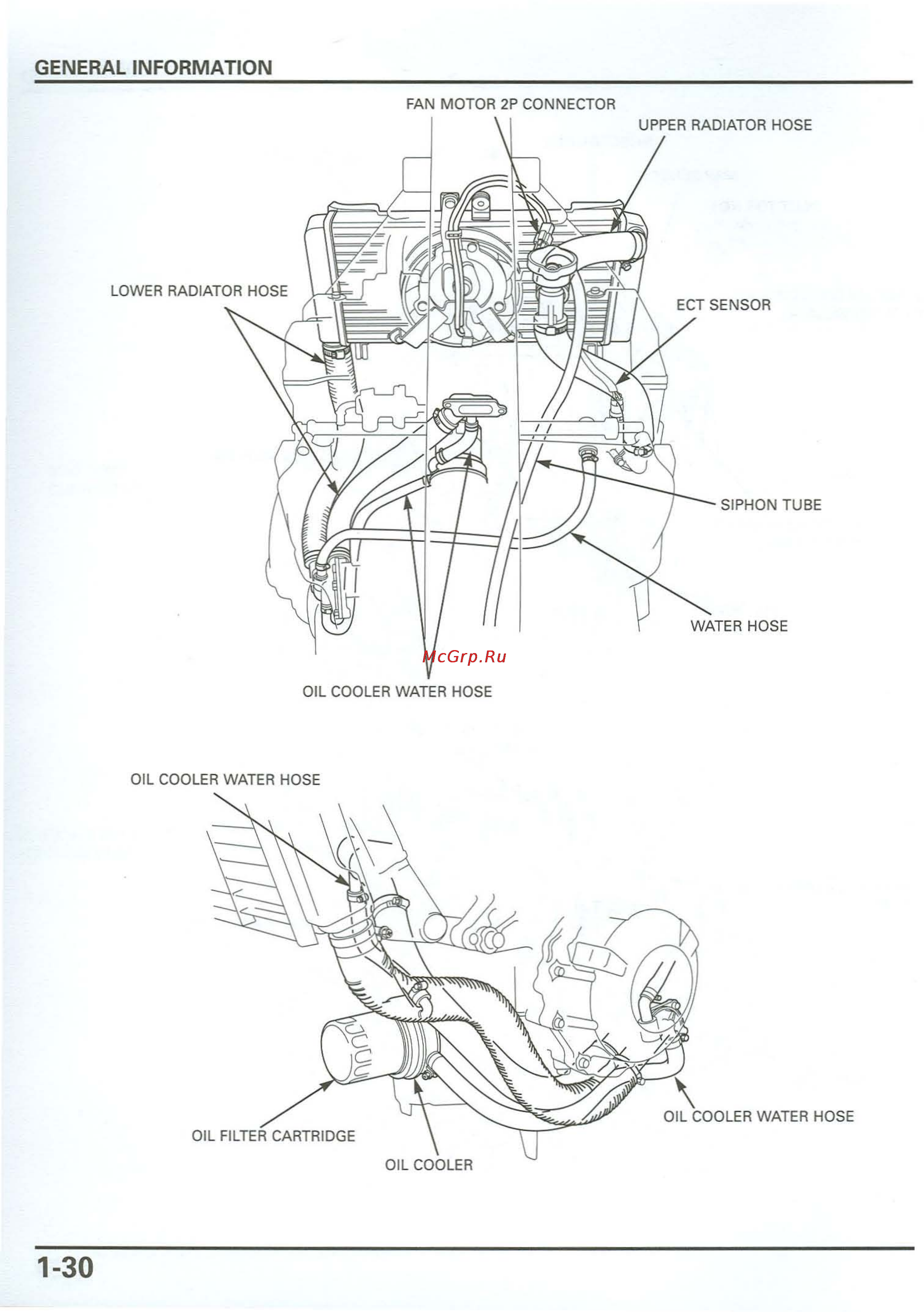 Honda CB900F 919 (2001) [34/432] General information