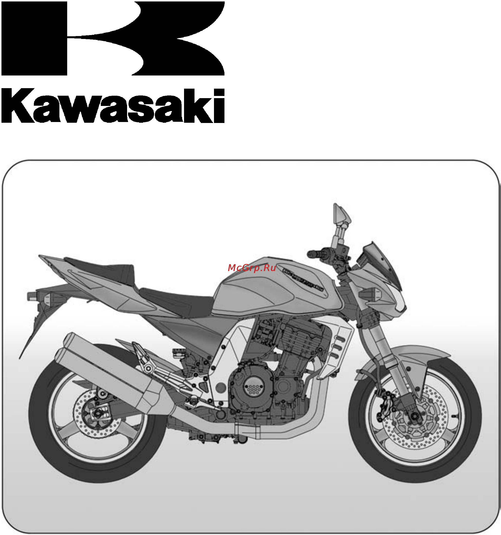 Kawasaki Z1000 (2003) Инструкция по эксплуатации онлайн