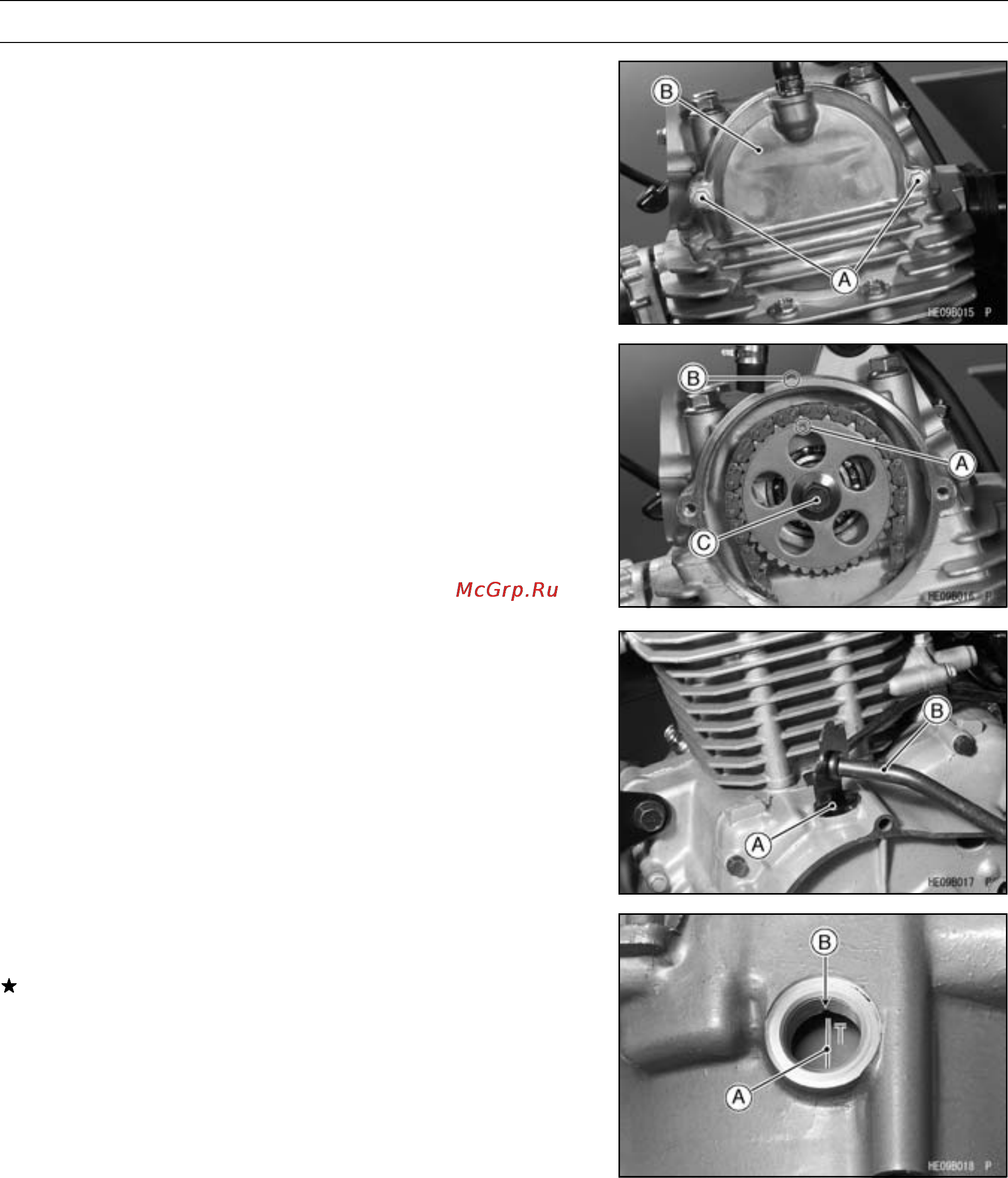 Kawasaki WORKHORSE 250 (2003) [76/322] 12 engine top end