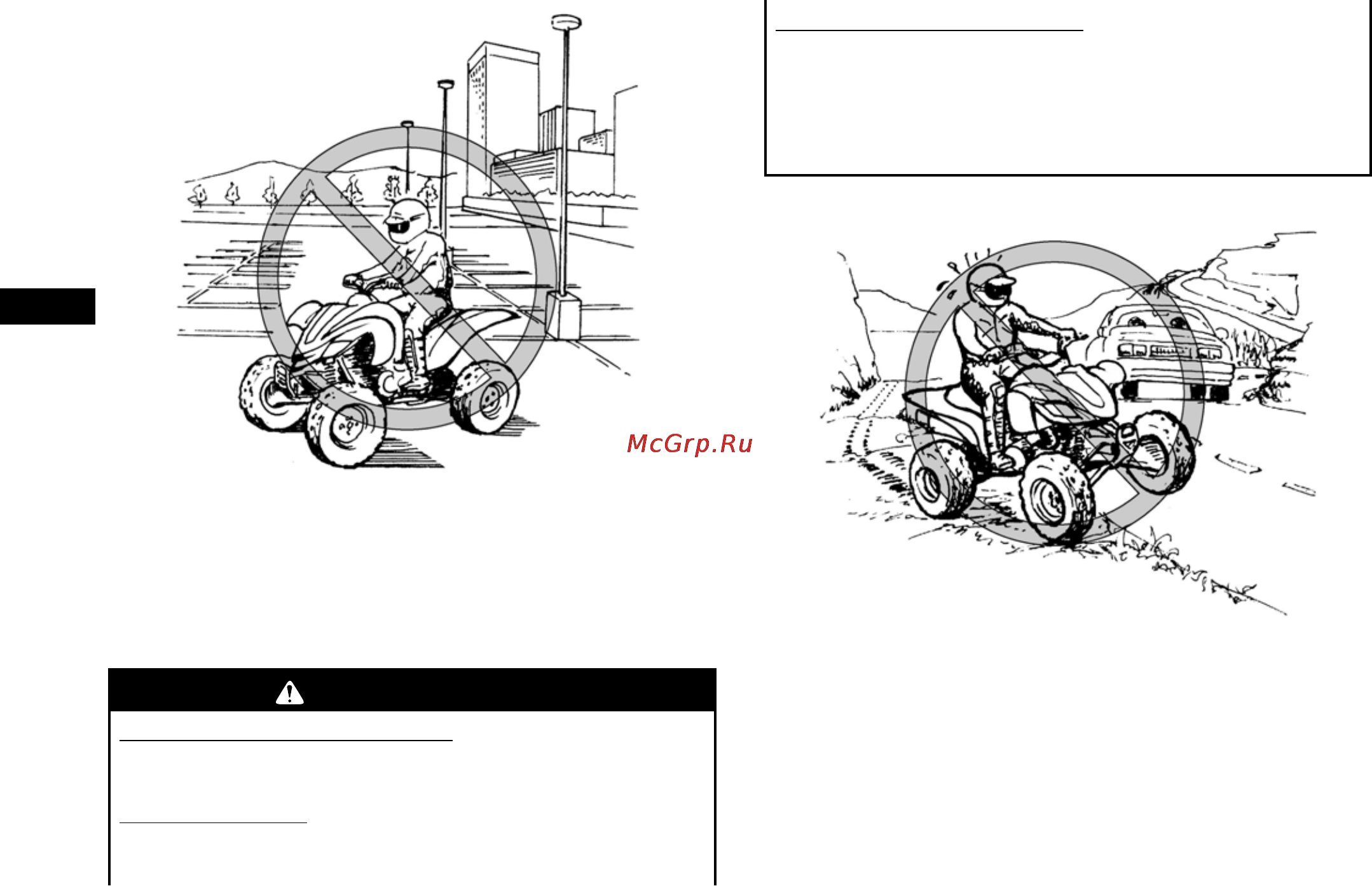 Yamaha YFZ450R (2012) [73/160] Предостережение