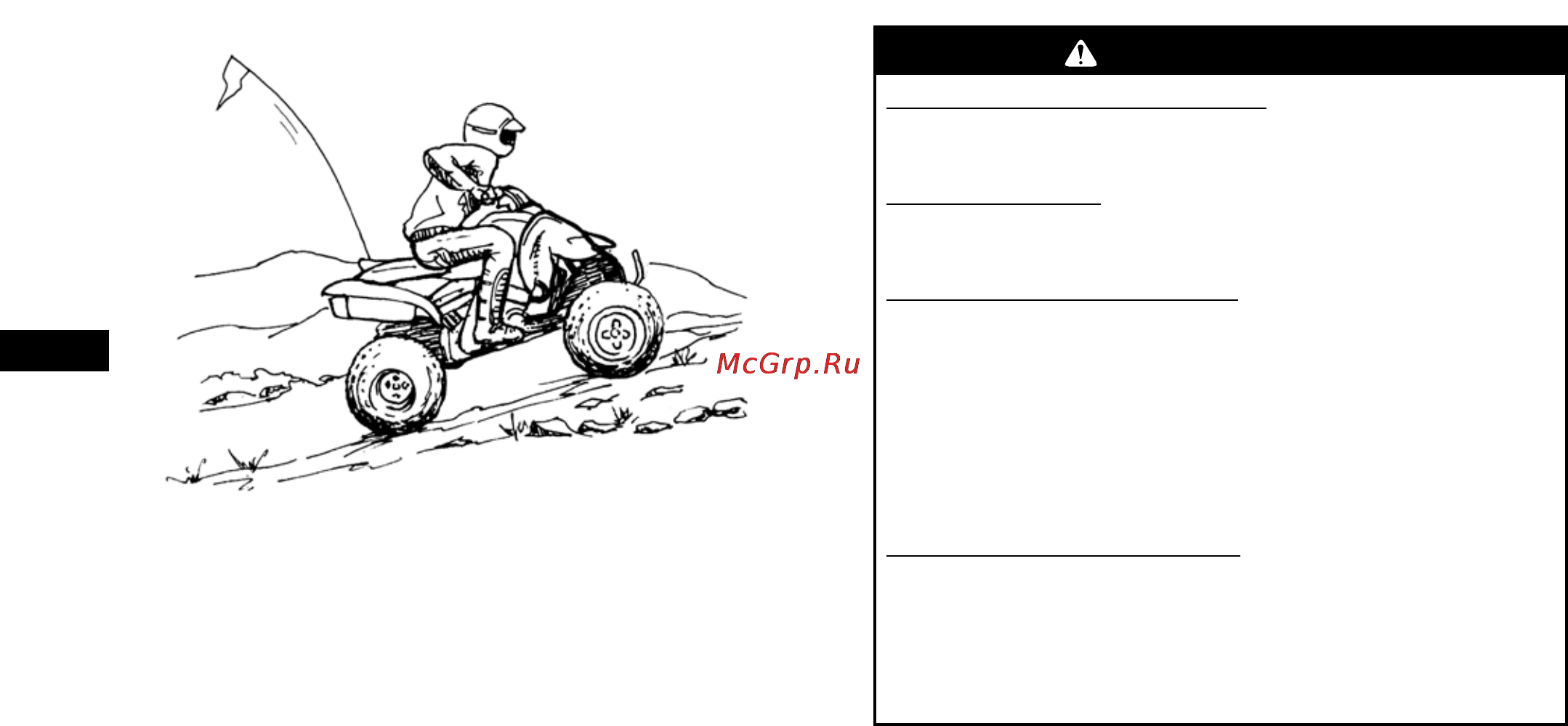 Yamaha YFZ450R (2012) [81/160] Предостережение