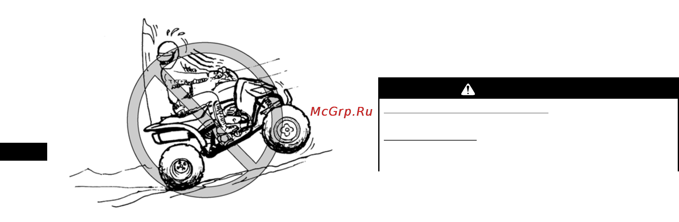 Yamaha YFZ450R (2012) [83/160] Предостережение