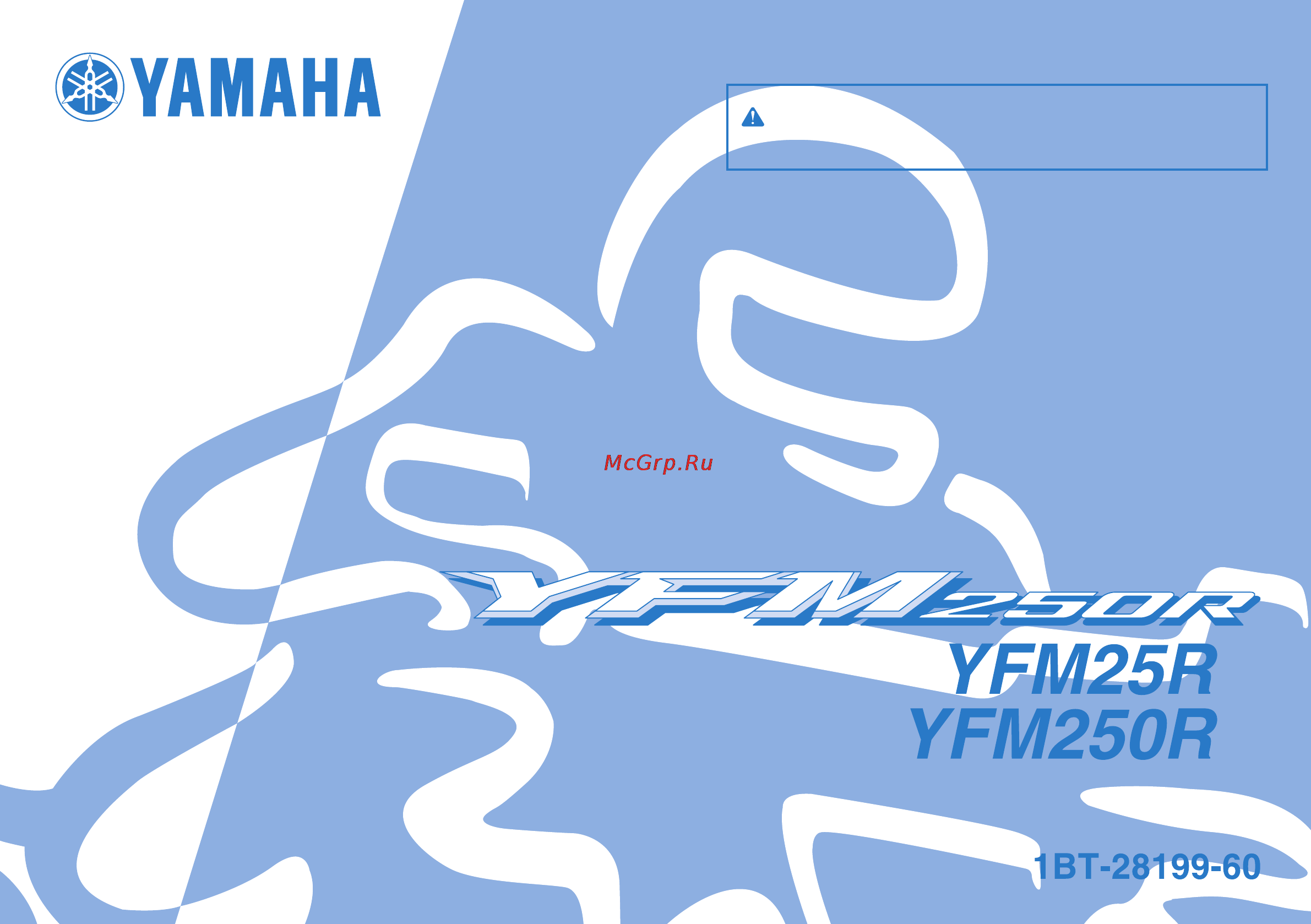 Yamaha YFM250R (2012) Инструкция по эксплуатации онлайн