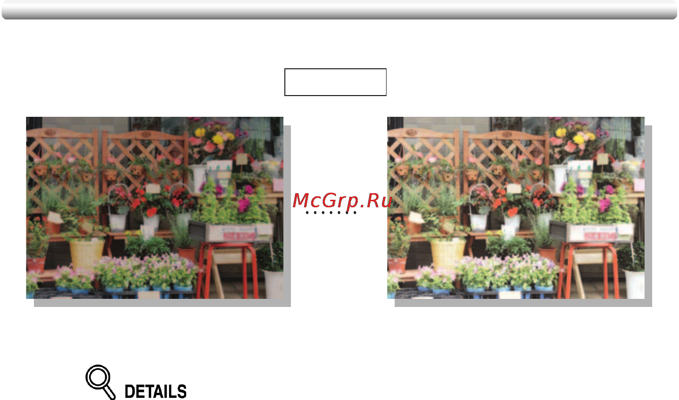 Konica Minolta CF5001 [166/432] Colour copy quality continued