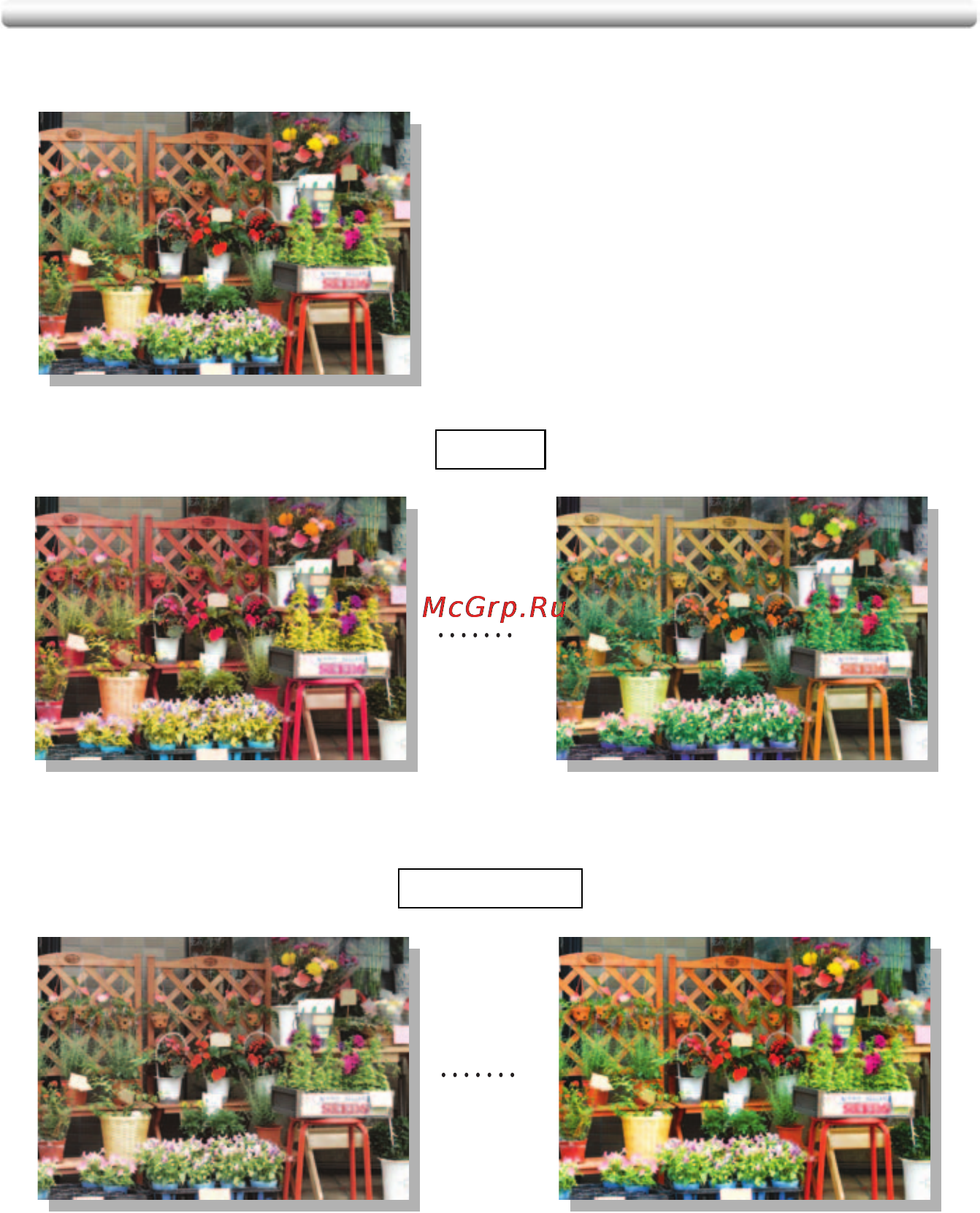 Konica Minolta bizhub PRO C500 [178/466] Colour copy quality
