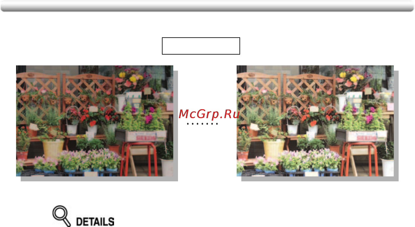 Konica Minolta bizhub PRO C500 [179/466] Colour copy quality