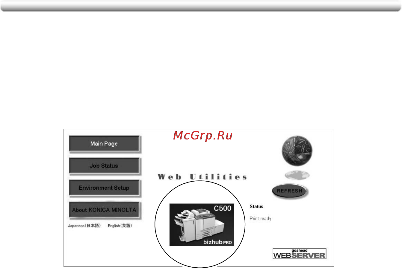 Konica Minolta bizhub PRO C500 [334/466] To display information on machine