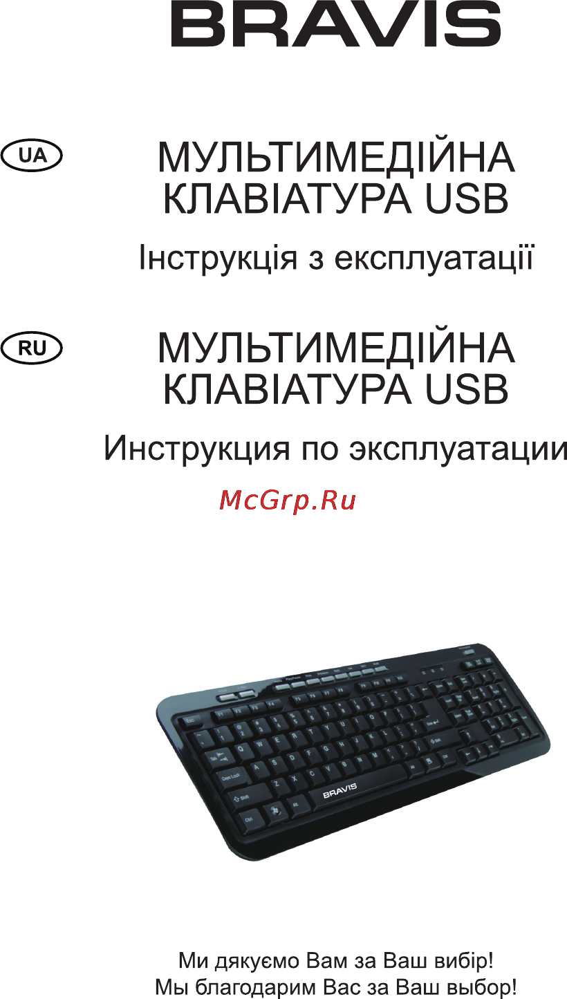 Bravis BRK738 Инструкция по эксплуатации онлайн