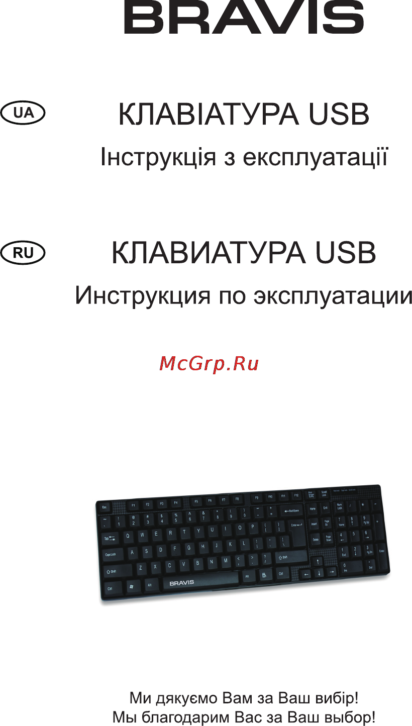 Bravis BRK739 Инструкция по эксплуатации онлайн