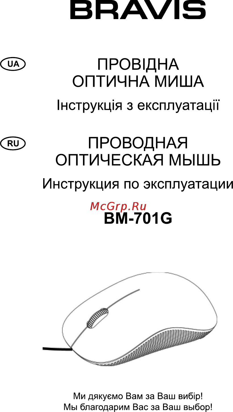Bravis BM-701G Инструкция по эксплуатации онлайн