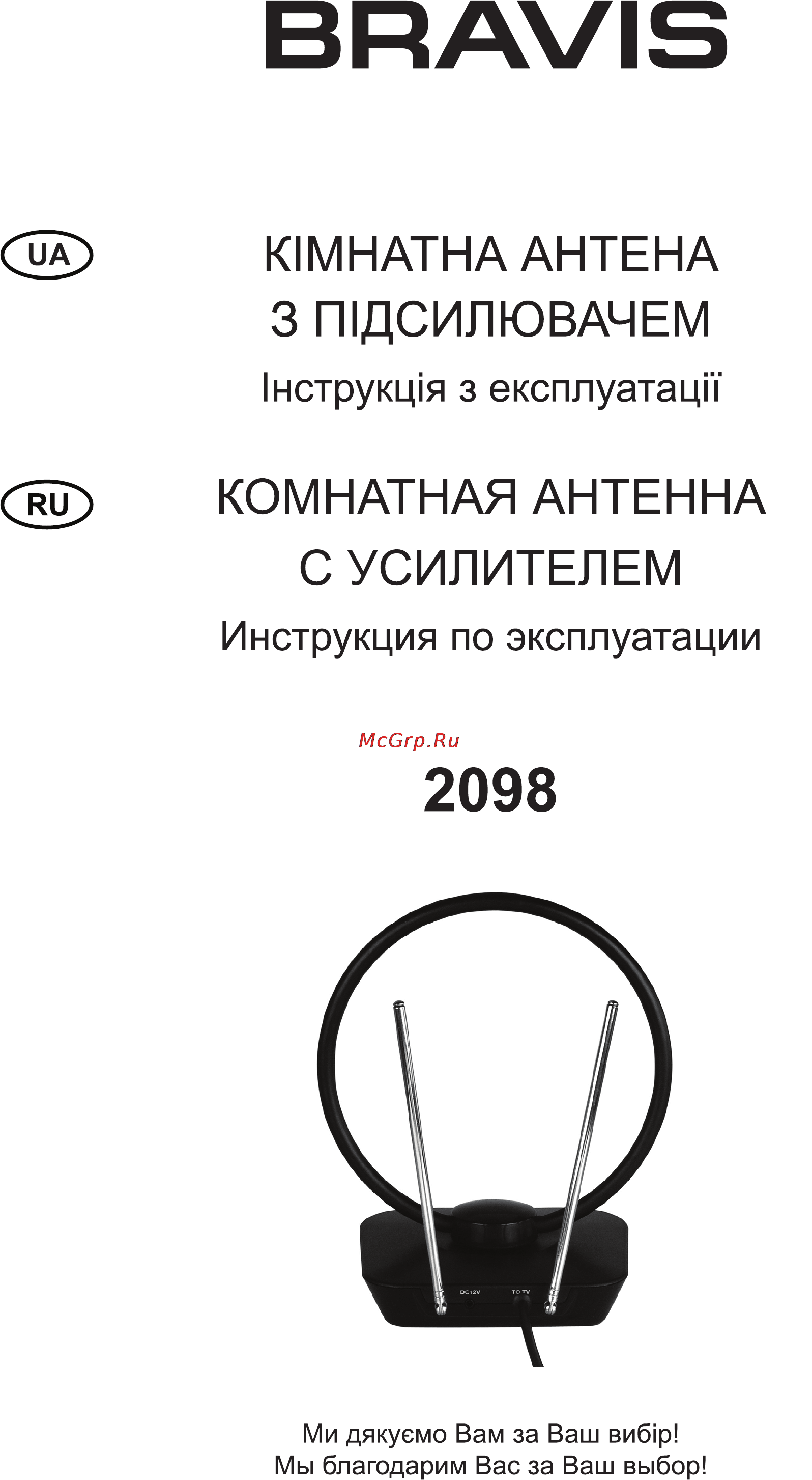 Bravis 2098 Инструкция по эксплуатации онлайн
