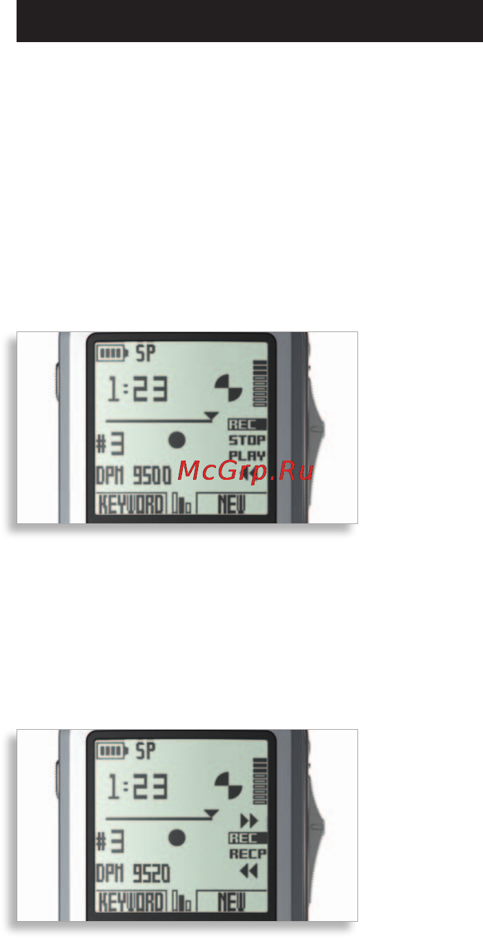 Philips Pocket Memo 9500 [3/4] Especificações