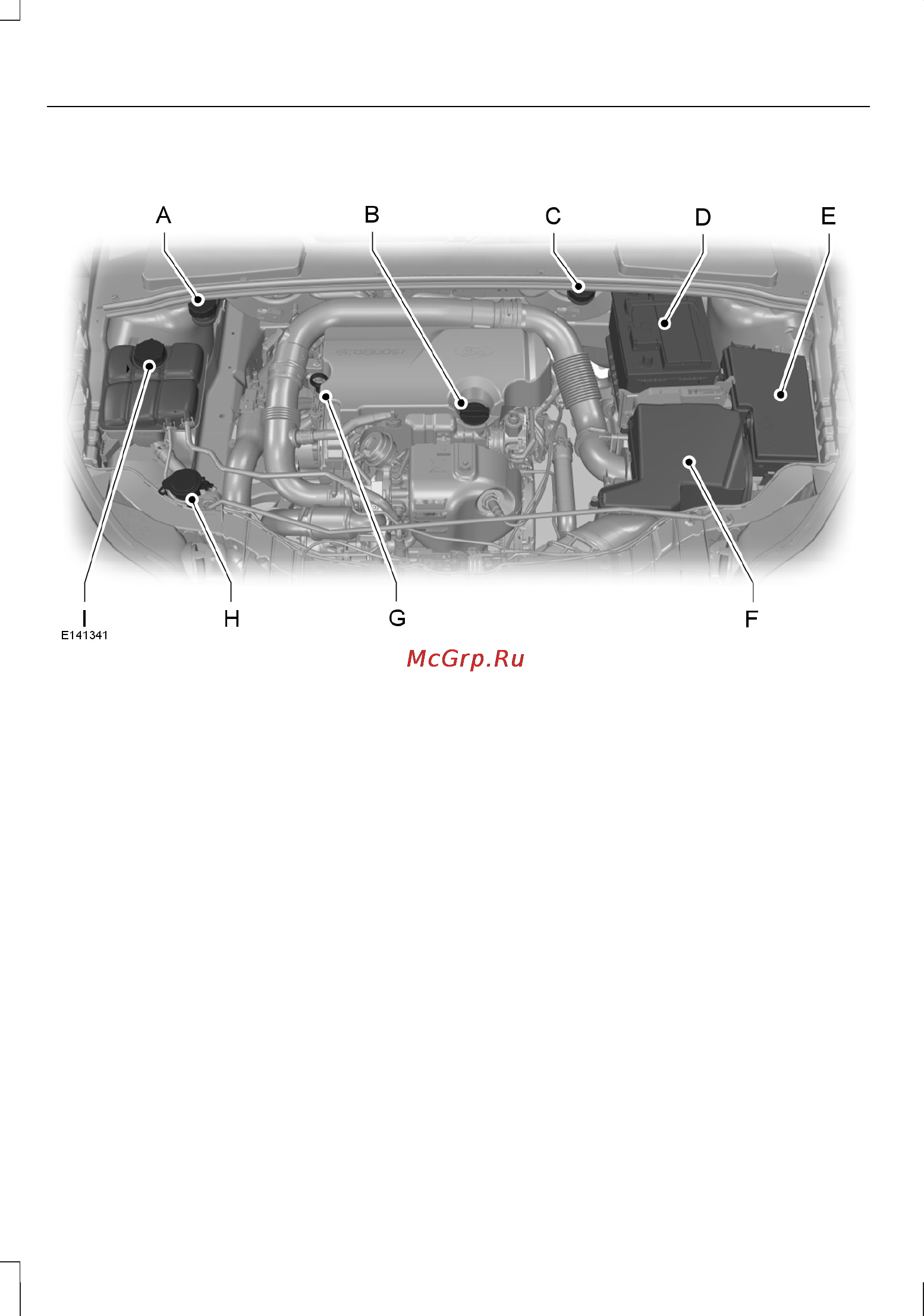 Ford Grand C-MAX (2012) [232/398] Общий вид моторного отсека