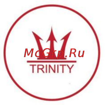 Trinity ms-me1003 Условия гарантийного обслуживания онлайн